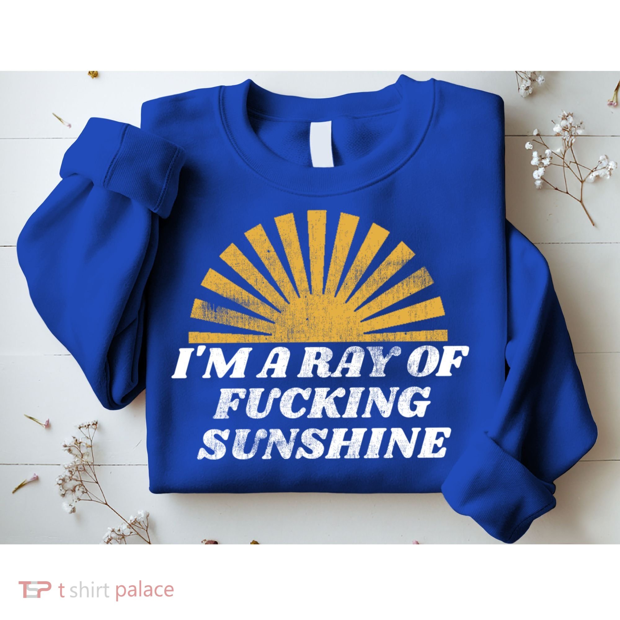 Funny Retro I'm A Ray Of Fucking Sunshine Gift Sweatshirt