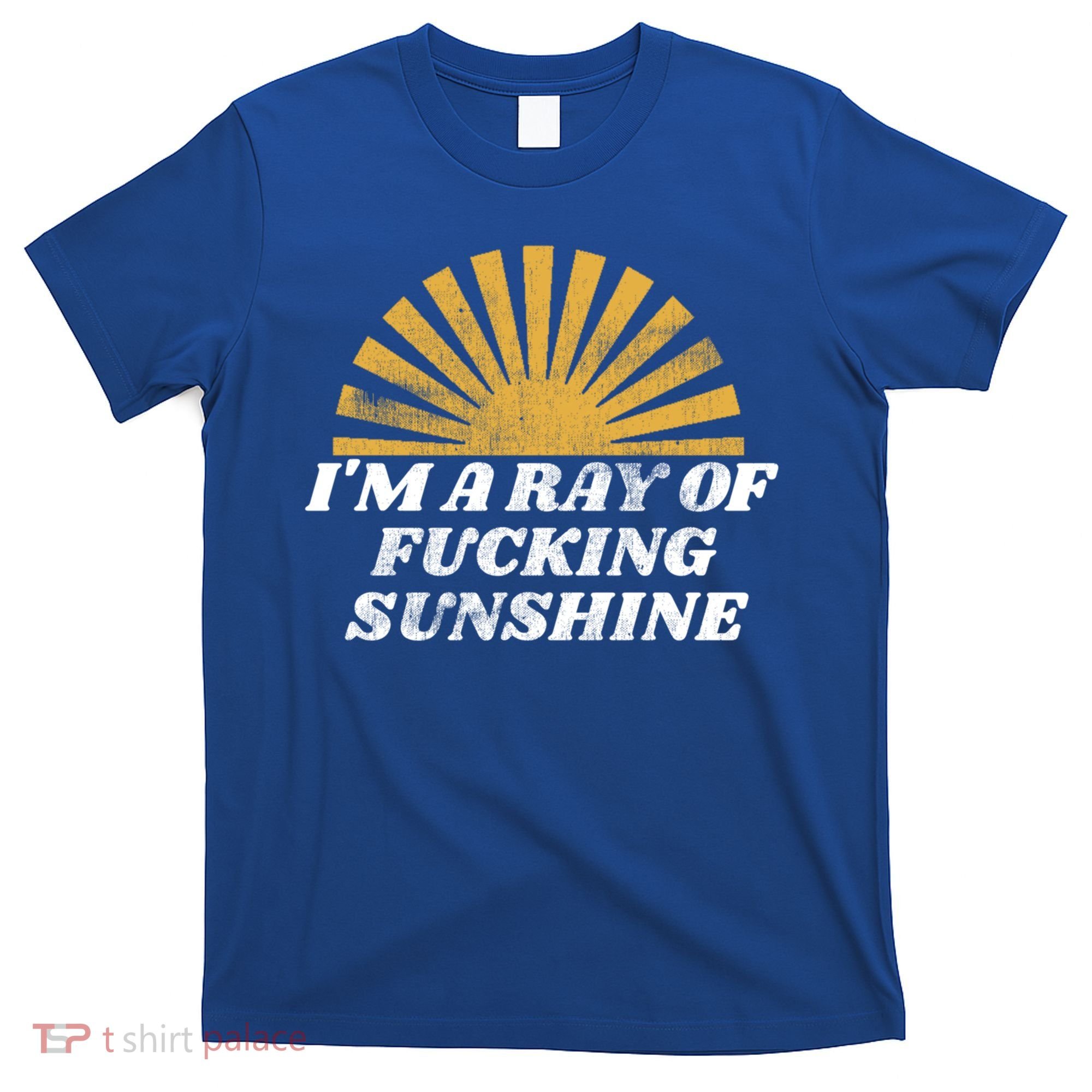 Funny Retro I'm A Ray Of Fucking Sunshine Gift T-Shirt