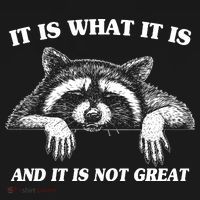 Funny Raccoon It Is What It Is And It Is Not Great Women's Hoodie thumb 2