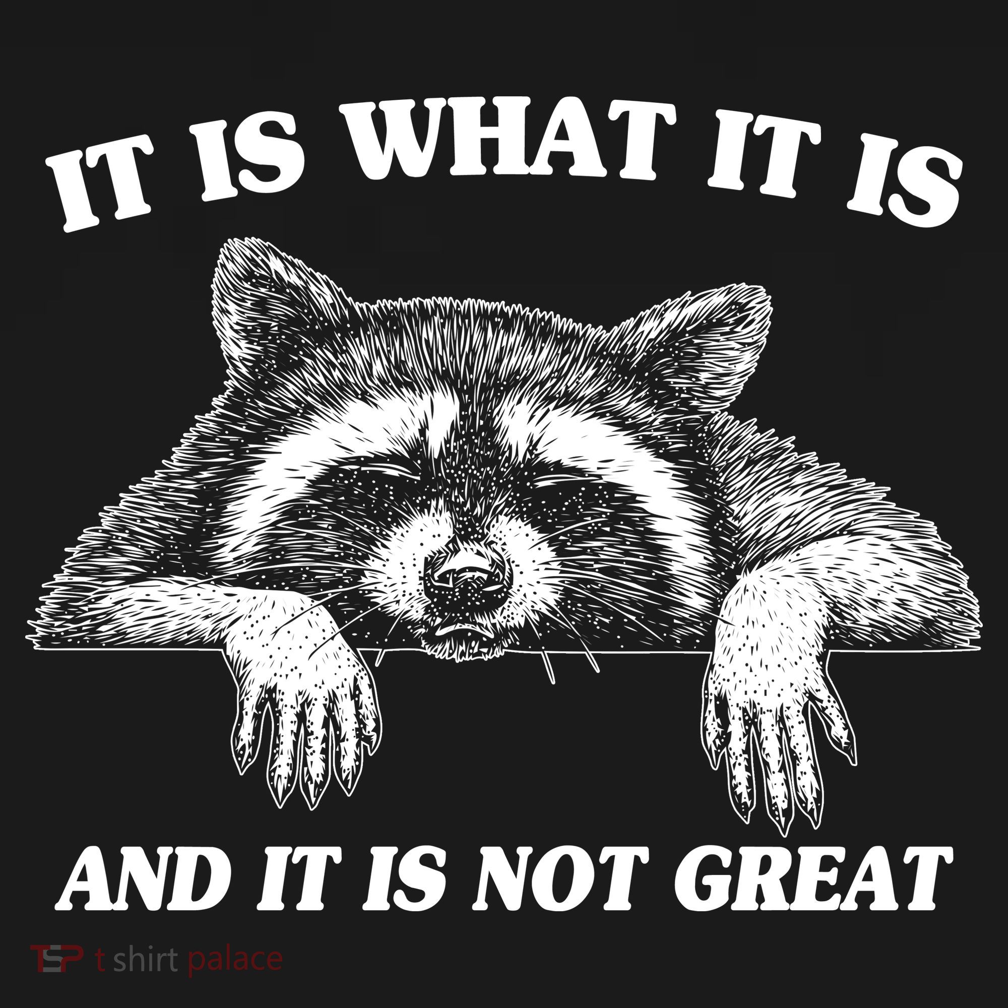 Funny Raccoon It Is What It Is And It Is Not Great Women's Hoodie