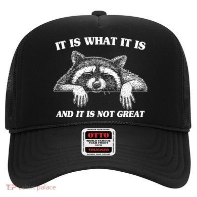 Funny Raccoon It Is What It Is And It Is Not Great Hat