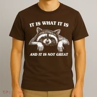 Funny Raccoon It Is What It Is And It Is Not Great T-Shirt thumb 3