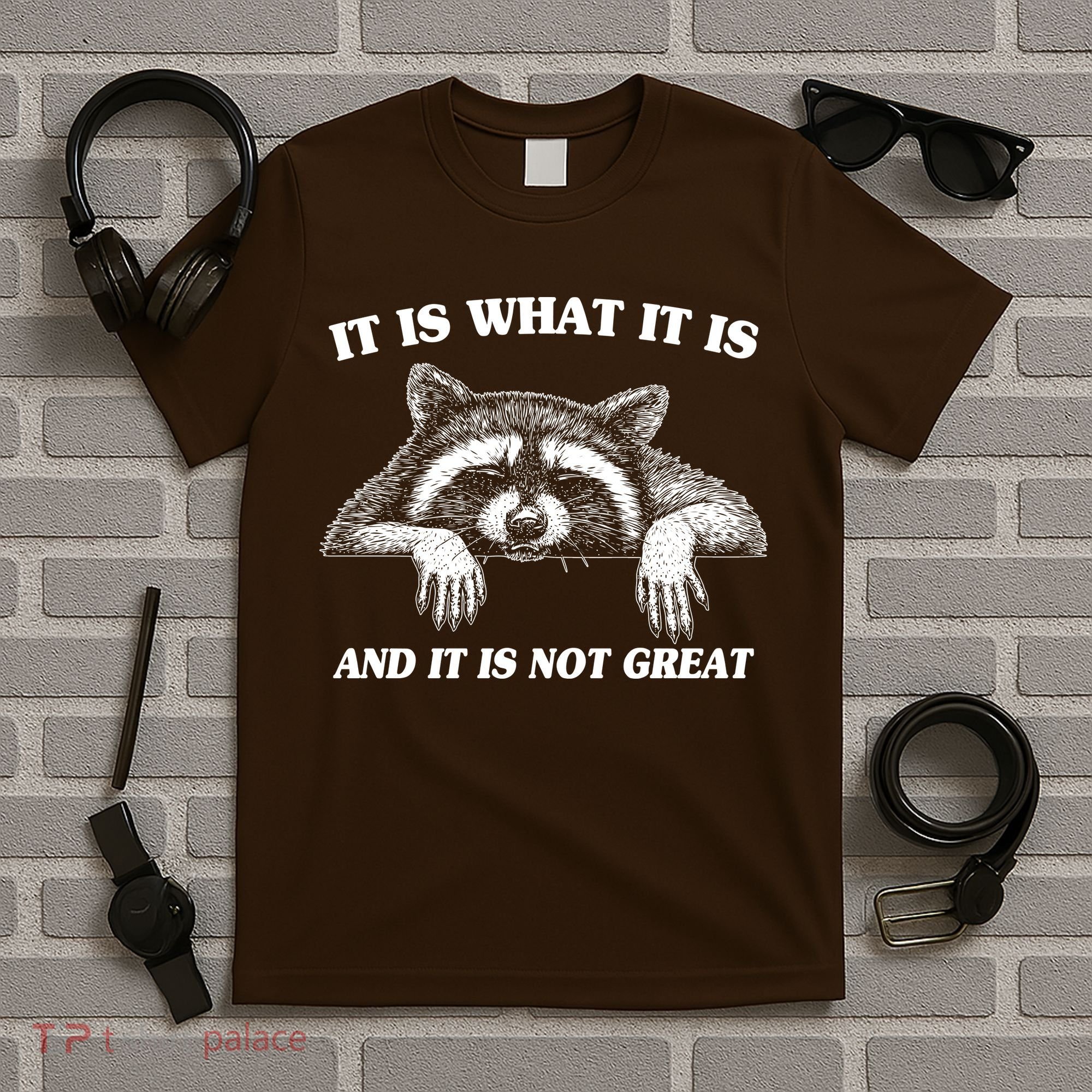 Funny Raccoon It Is What It Is And It Is Not Great T-Shirt