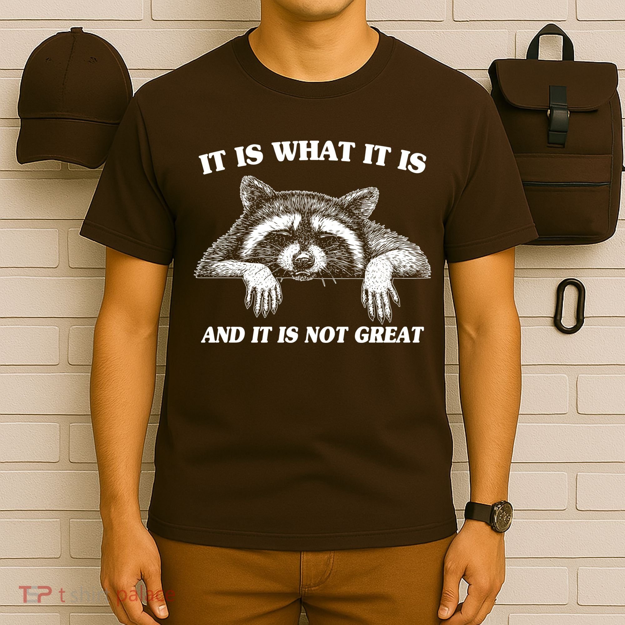 Funny Raccoon It Is What It Is And It Is Not Great T-Shirt