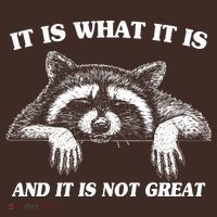 Funny Raccoon It Is What It Is And It Is Not Great T-Shirt thumb 7