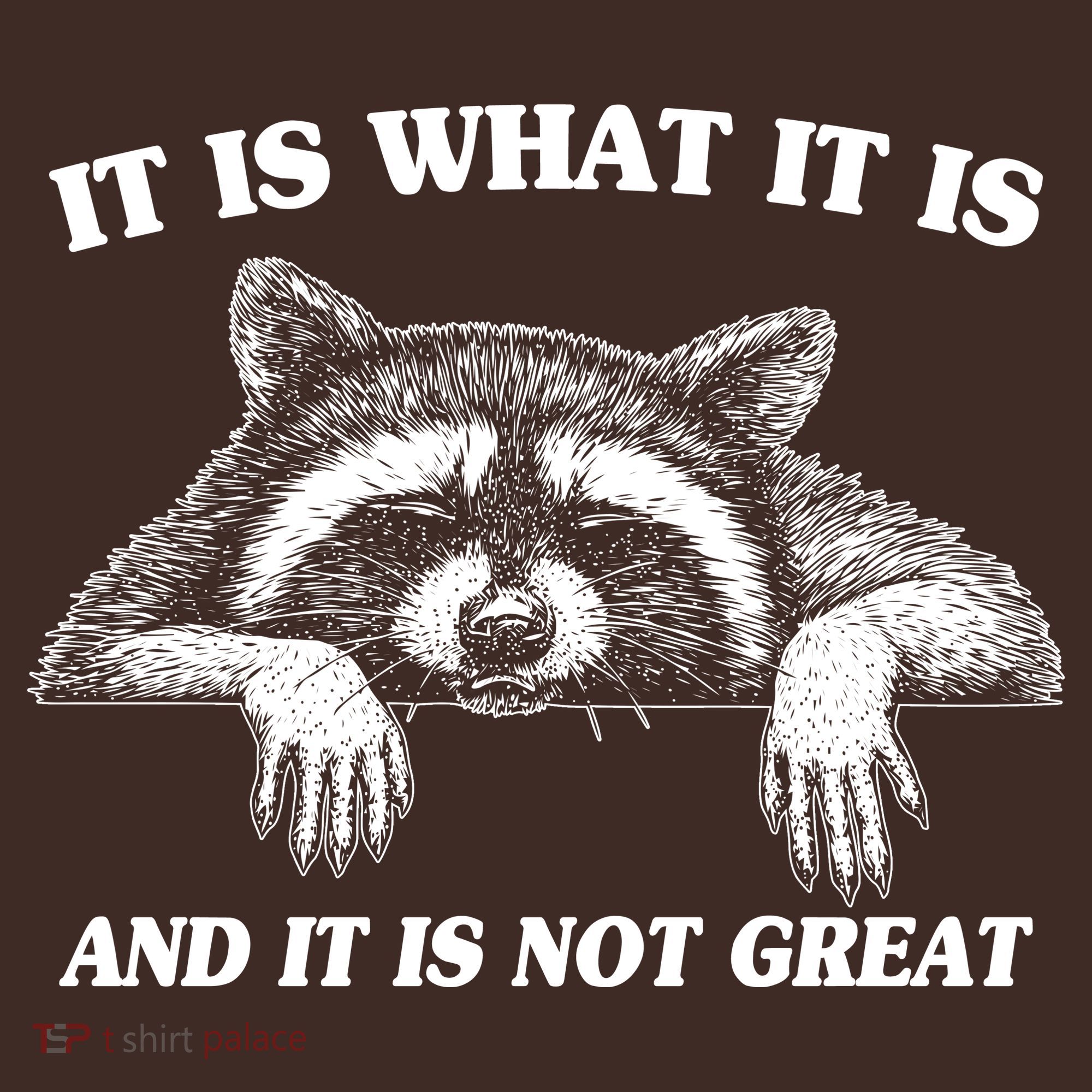 Funny Raccoon It Is What It Is And It Is Not Great T-Shirt