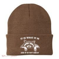 Funny Raccoon It Is What It Is And It Is Not Great Beanie thumb 0