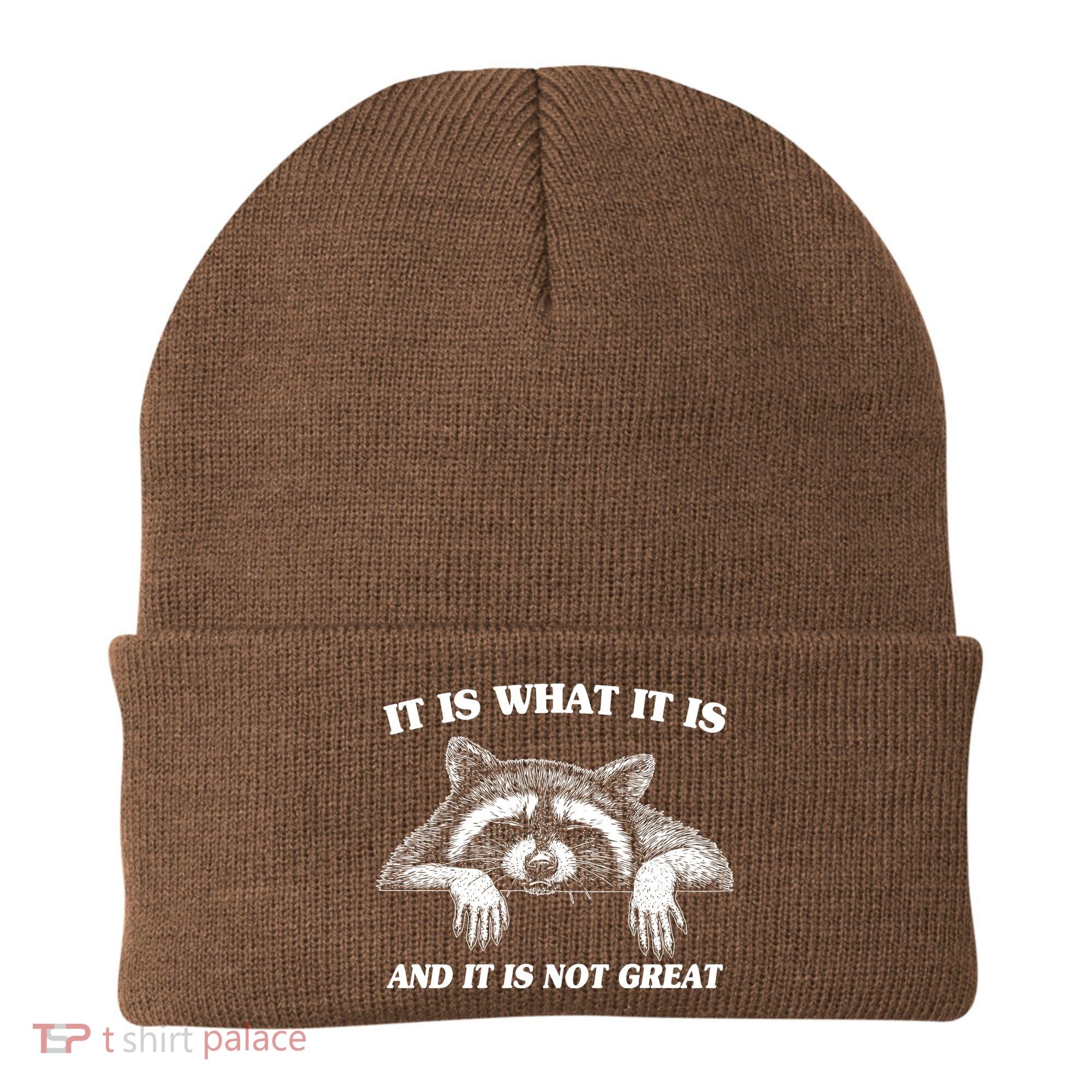 Funny Raccoon It Is What It Is And It Is Not Great Beanie