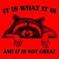 Funny Raccoon It Is What It Is And It Is Not Great Santa Hat thumb 1