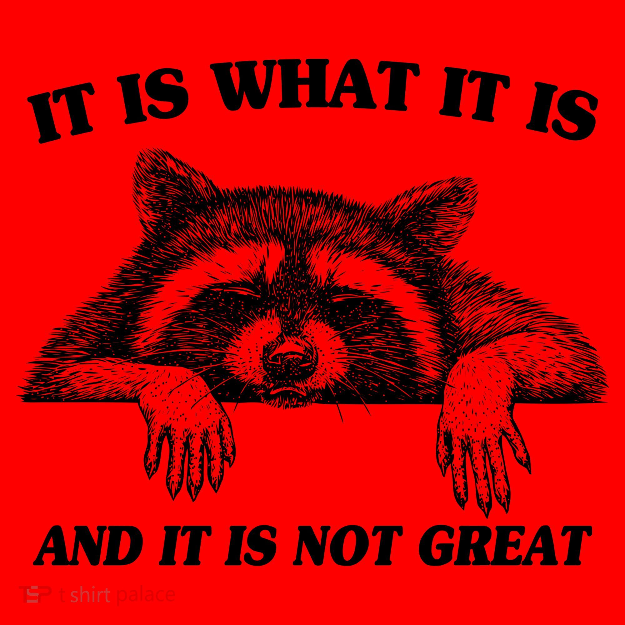Funny Raccoon It Is What It Is And It Is Not Great Santa Hat