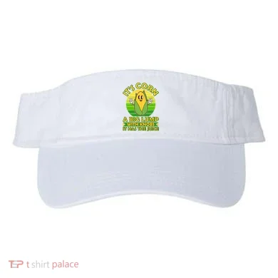 Visor