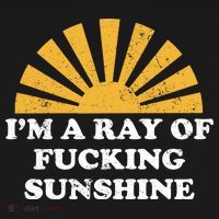 Funny Retro I Am A Ray Of Fucking Sunshine Gift Women's Hoodie thumb 2