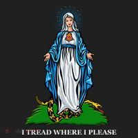 Funny Religious I Tread Where I Please Mary Versus Tread On Me Snake Beanie thumb 2