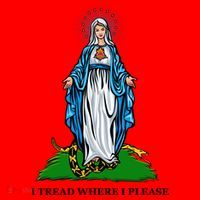 Funny Religious I Tread Where I Please Mary Versus Tread On Me Snake Santa Hat thumb 1
