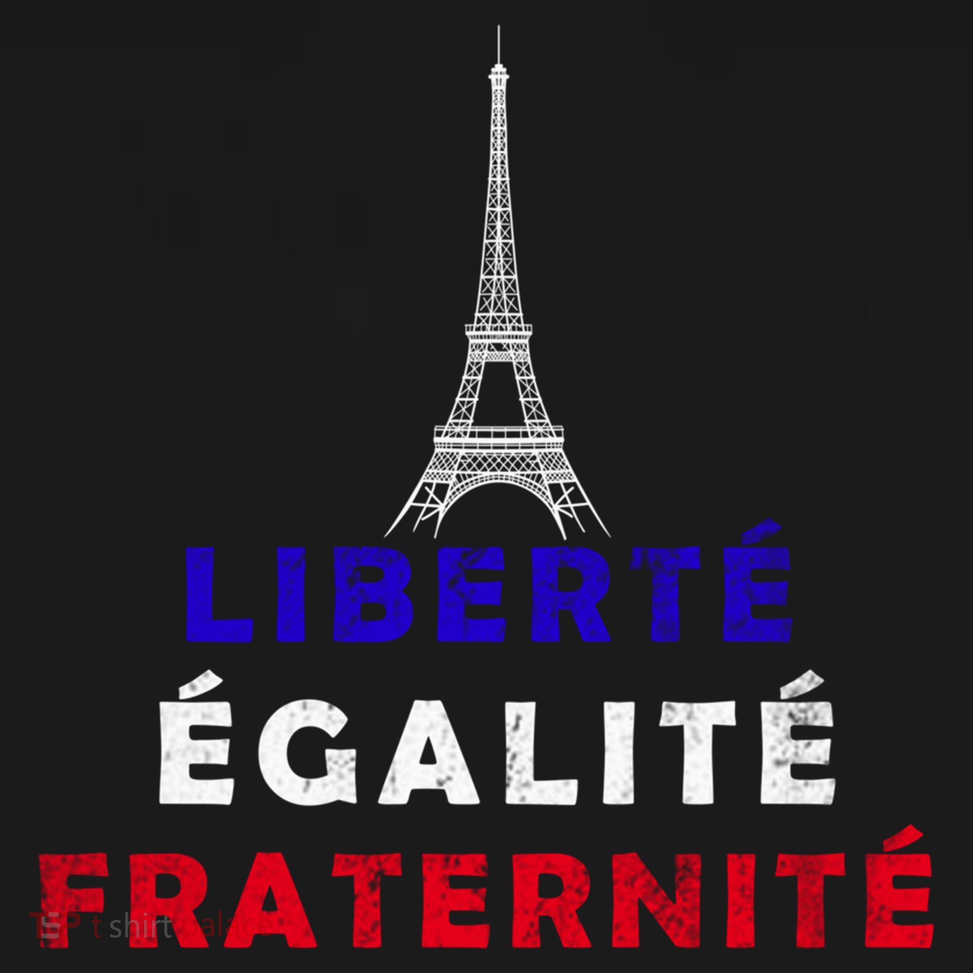 French Revolution Liberty Equality Fraternity Bastille Day Funny Gift Women's Hoodie