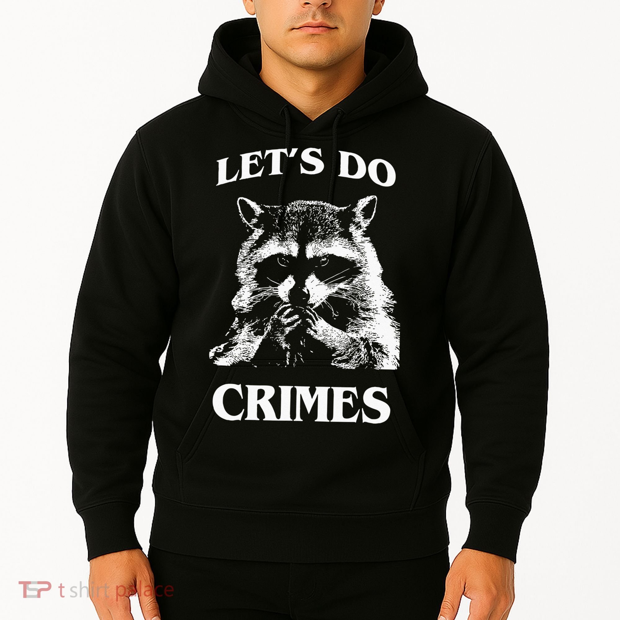 Funny Raccoon Lets Do Crimes Trashed Racoon Panda Lovers Hoodie