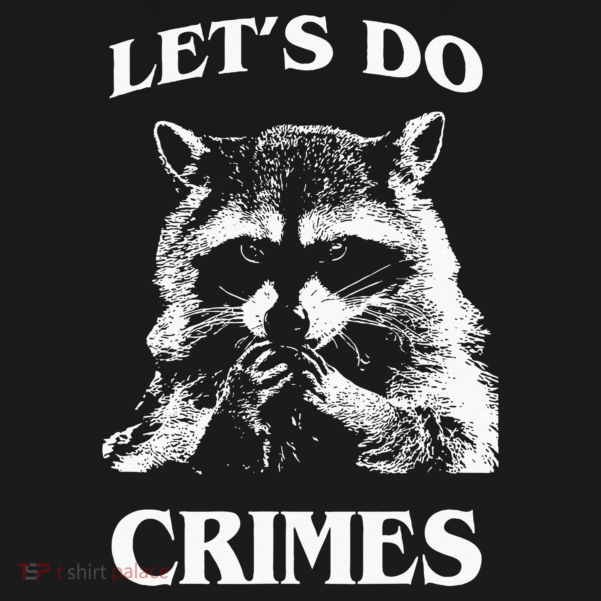 Funny Raccoon Lets Do Crimes Trashed Racoon Panda Lovers Long Sleeve Shirt