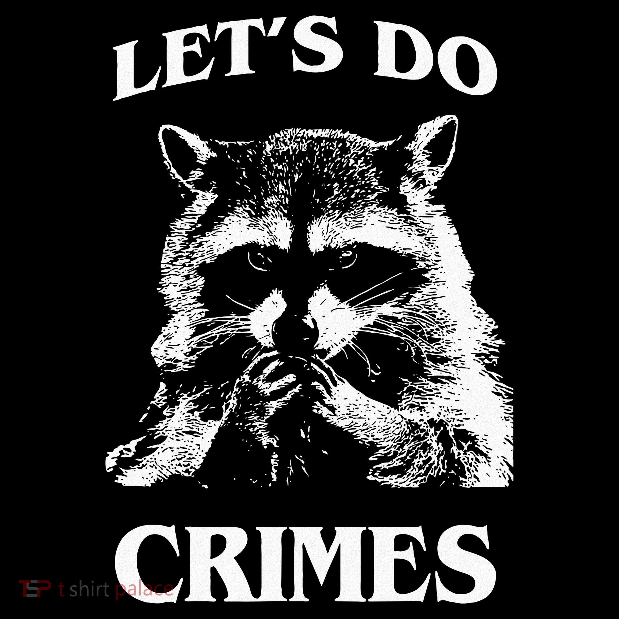 Funny Raccoon Lets Do Crimes Trashed Racoon Panda Lovers Sweatshirt