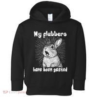 Funny Rabbit My Flabbers Have Been Gasted Retro Graphic Cute Toddler Hoodie thumb 0