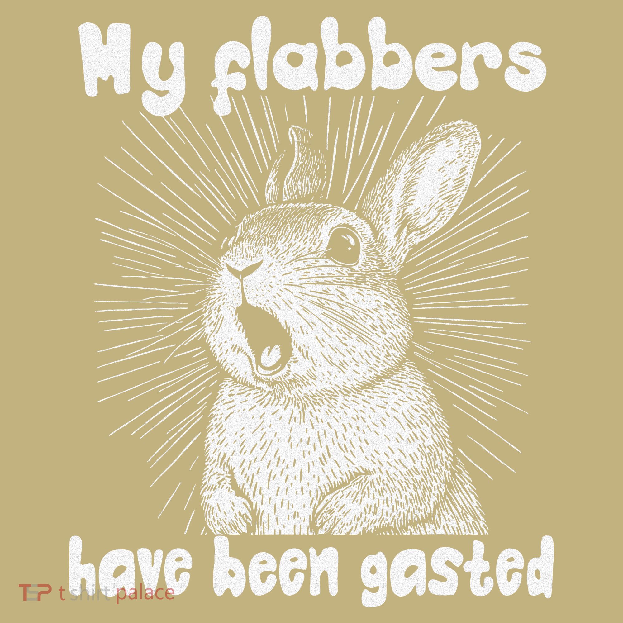 Funny Rabbit My Flabbers Have Been Gasted Retro Graphic Cute Hoodie