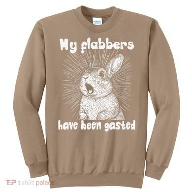 Funny Rabbit My Flabbers Have Been Gasted Retro Graphic Cute Sweatshirt