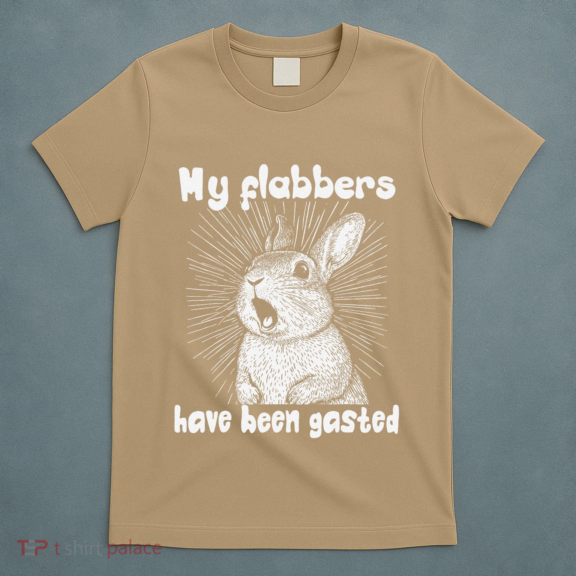 Funny Rabbit My Flabbers Have Been Gasted Retro Graphic Cute T-Shirt