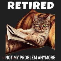 Funny Retired Not My Problem Anymore Gift Funny Cat Retirement Gift Women's Sweatshirt thumb 2
