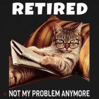 Funny Retired Not My Problem Anymore Gift Funny Cat Retirement Gift Women's Hoodie thumb 2