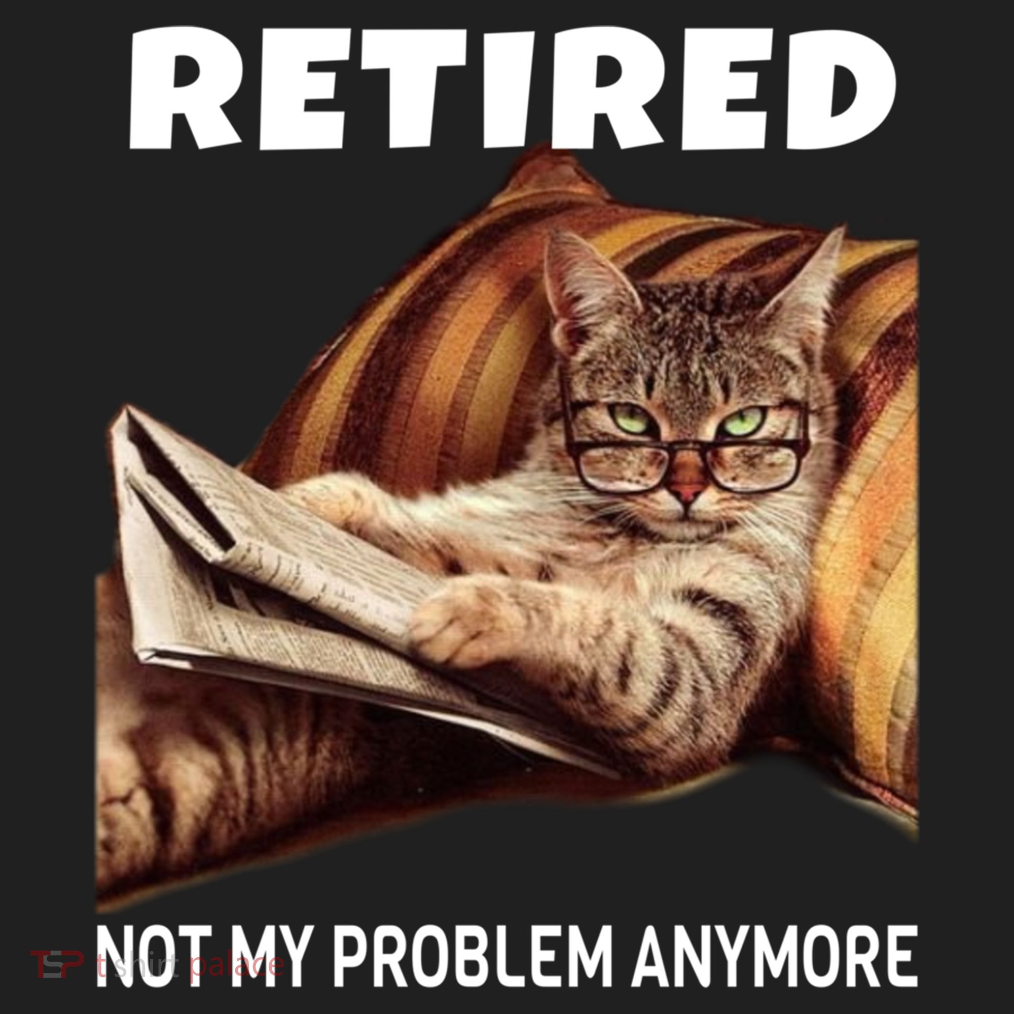 Funny Retired Not My Problem Anymore Gift Funny Cat Retirement Gift Hat