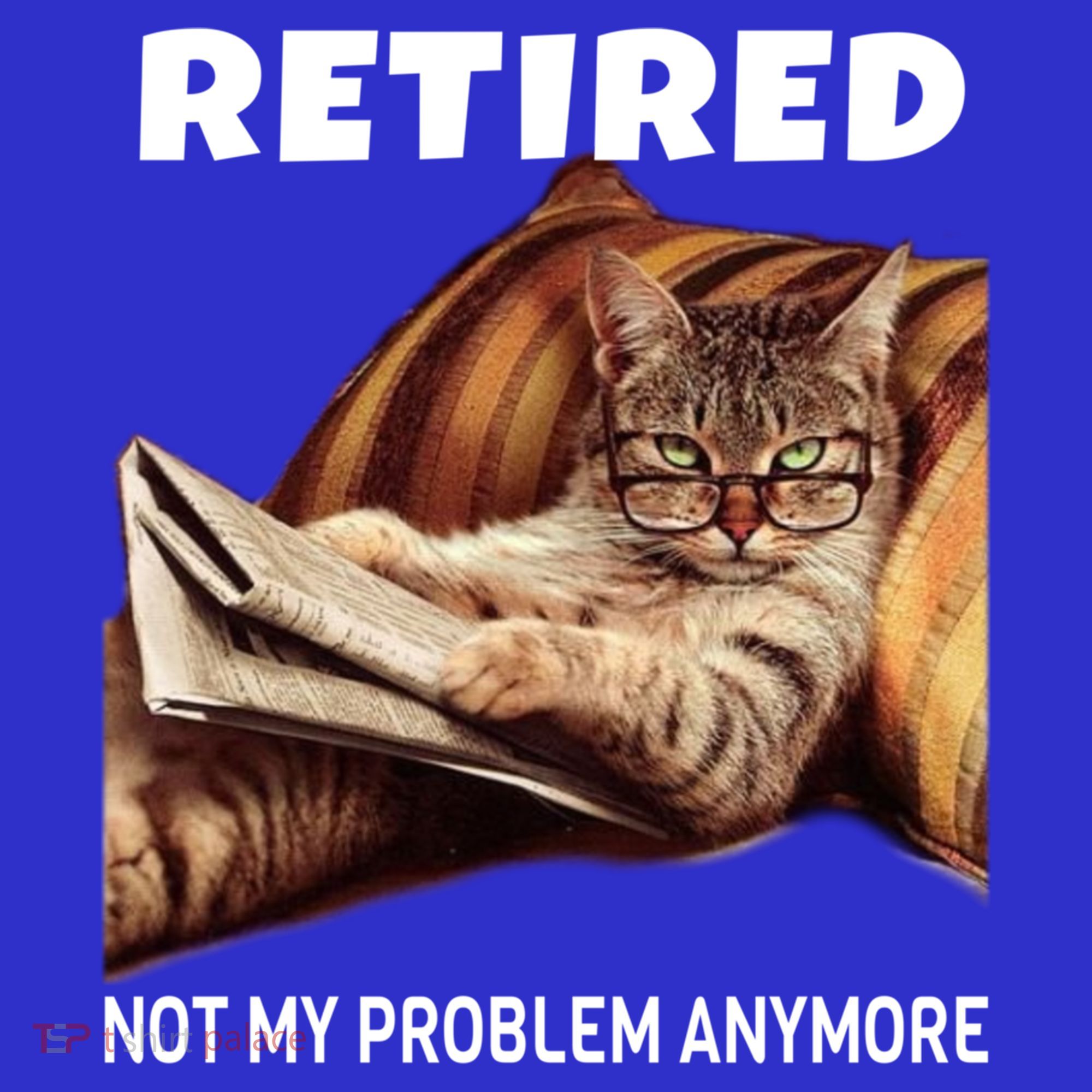 Funny Retired Not My Problem Anymore Gift Funny Cat Retirement Gift Hoodie