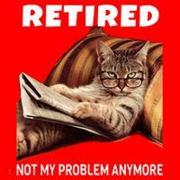Funny Retired Not My Problem Anymore Gift Funny Cat Retirement Gift Santa Hat thumb 1