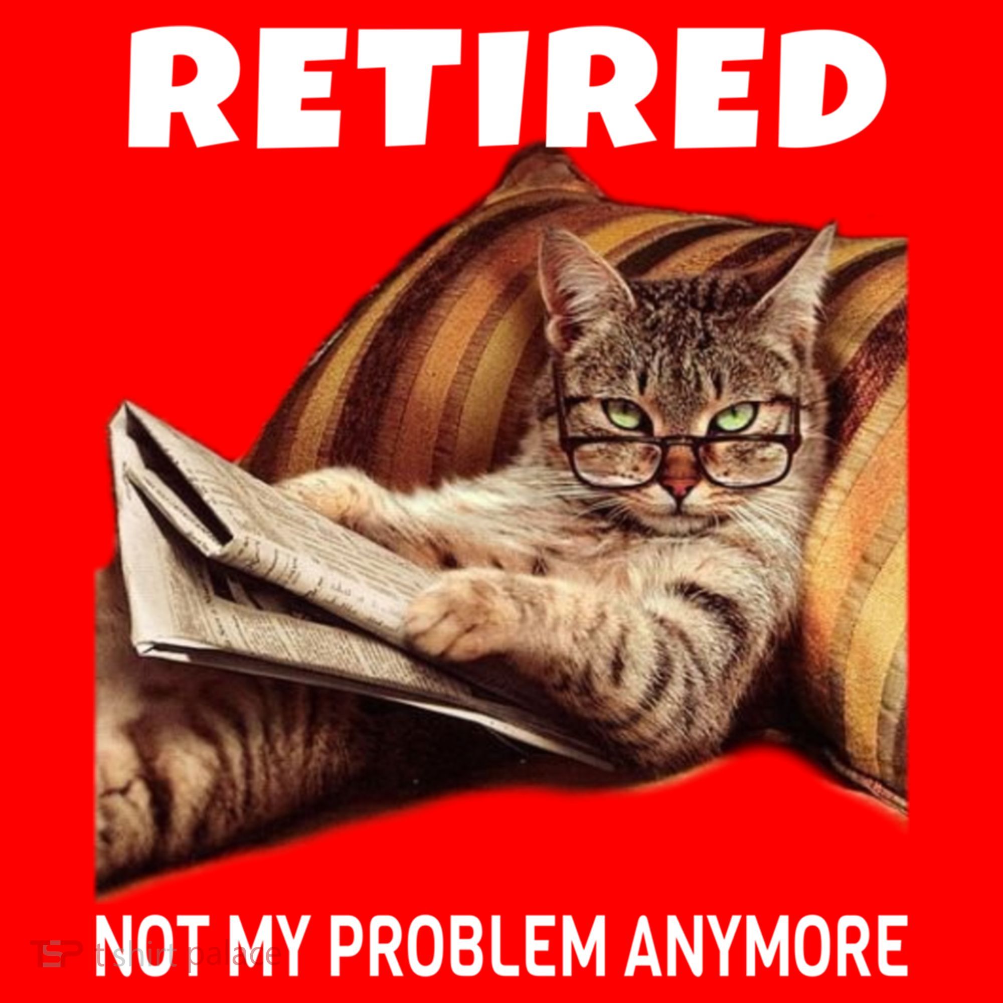Funny Retired Not My Problem Anymore Gift Funny Cat Retirement Gift Santa Hat