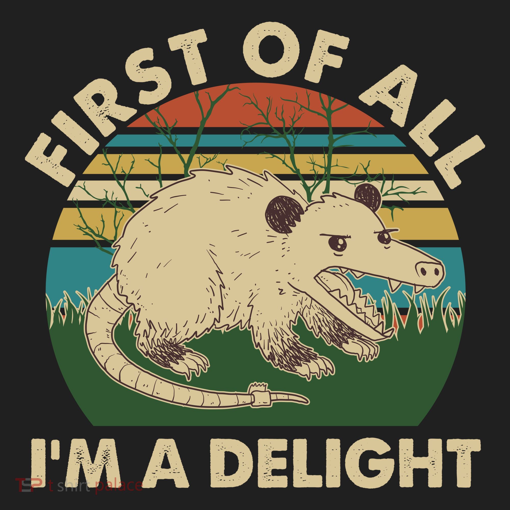 Funny Retro Opossum First Of All Im A Delight Women's Sweatshirt