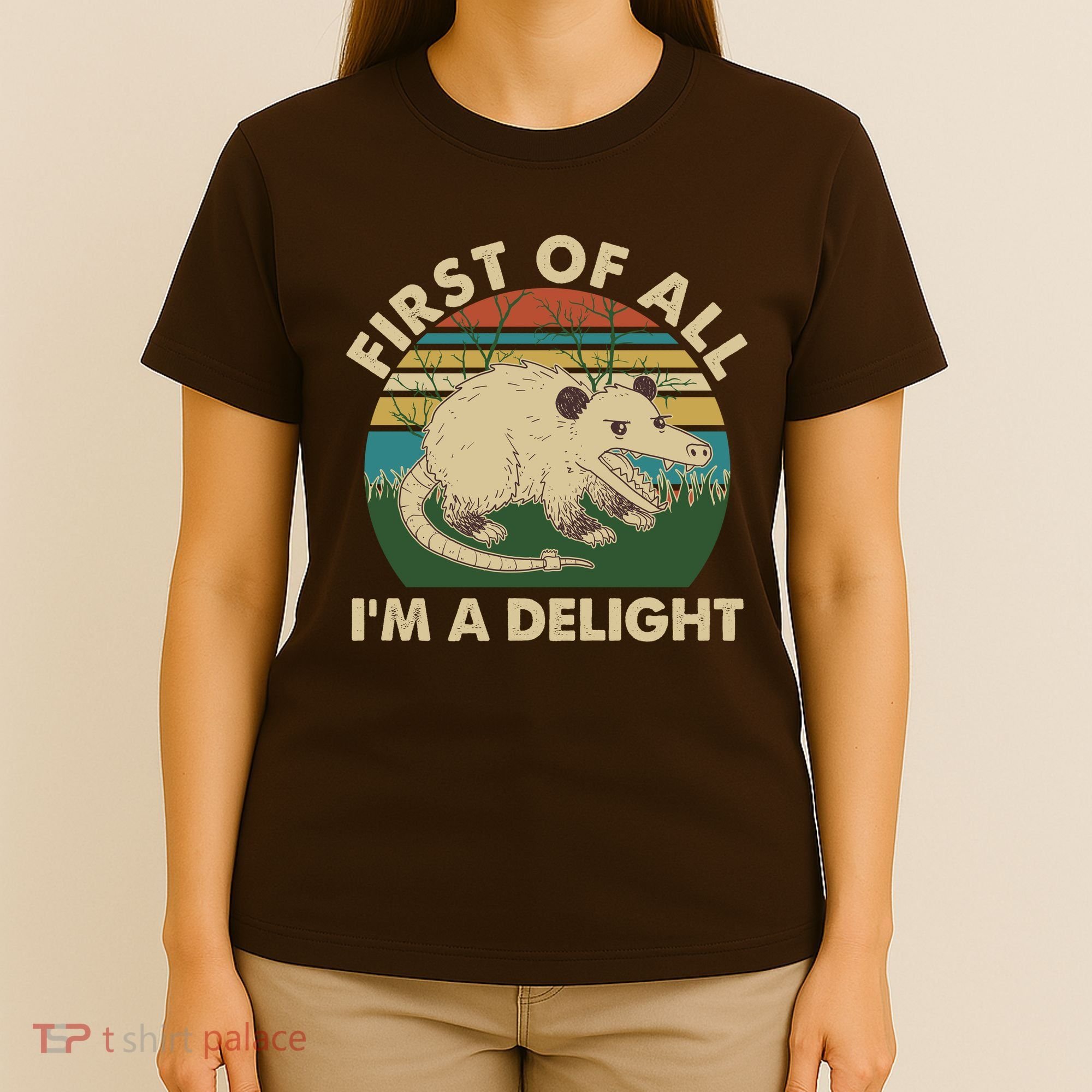 Funny Retro Opossum First Of All Im A Delight T-Shirt
