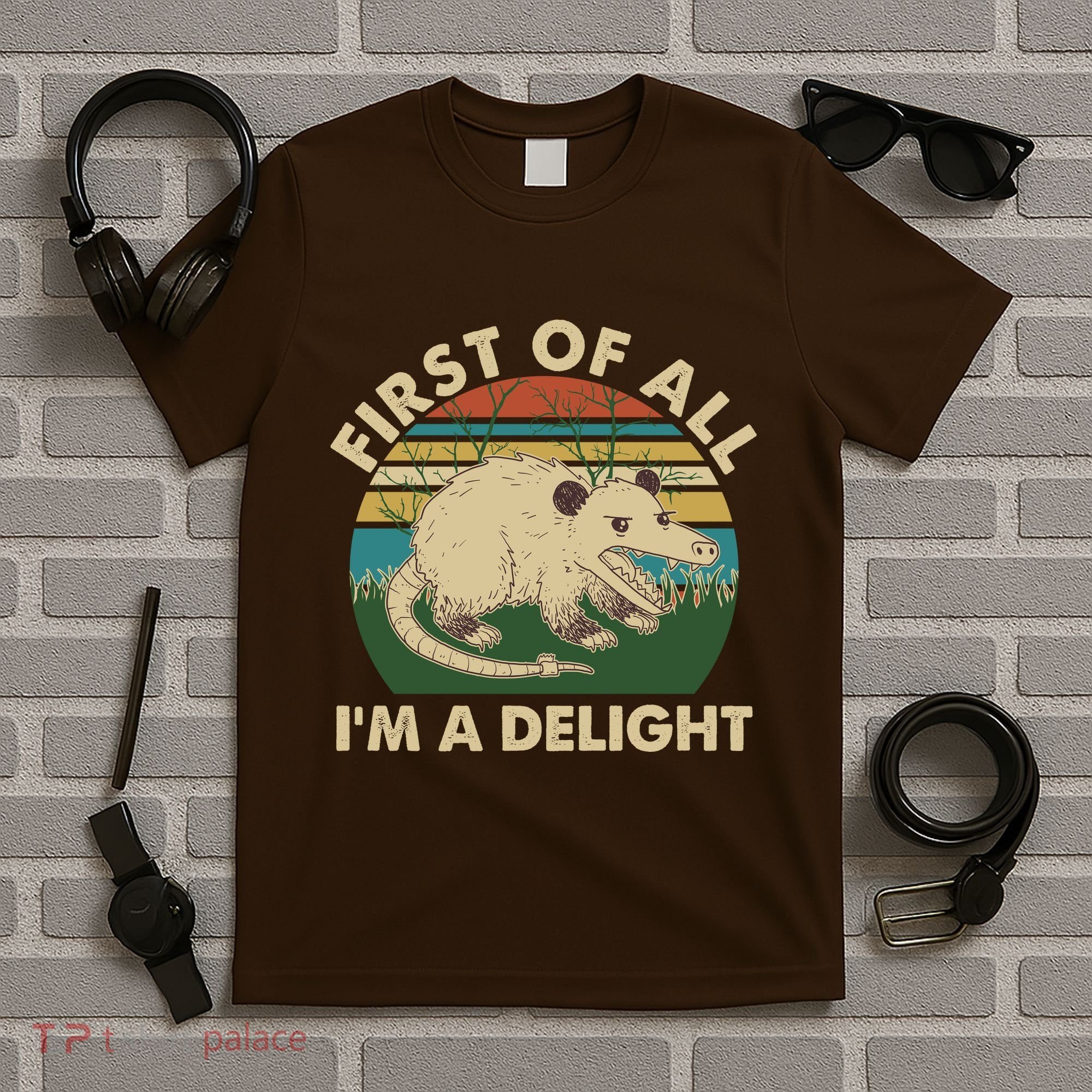 Funny Retro Opossum First Of All Im A Delight T-Shirt
