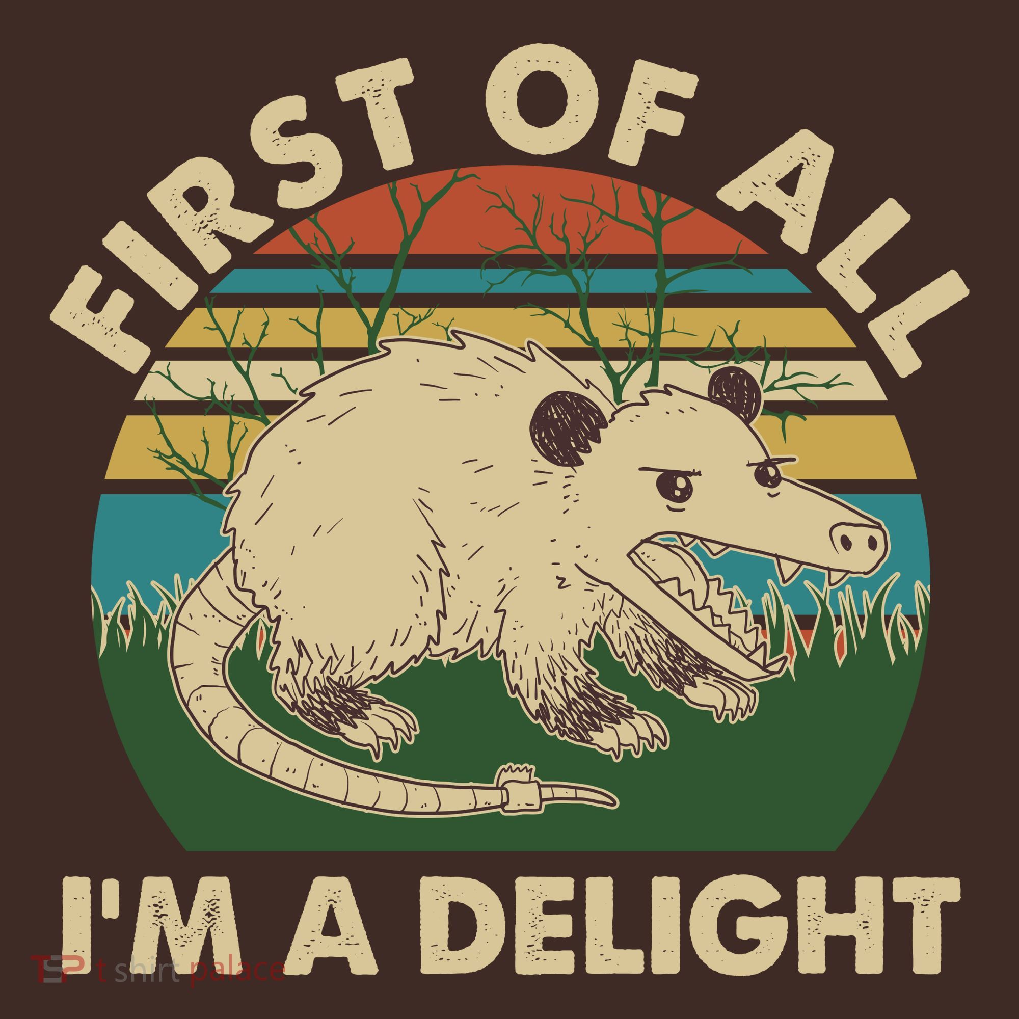 Funny Retro Opossum First Of All Im A Delight Mousepad