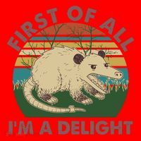 Funny Retro Opossum First Of All Im A Delight Santa Hat thumb 1