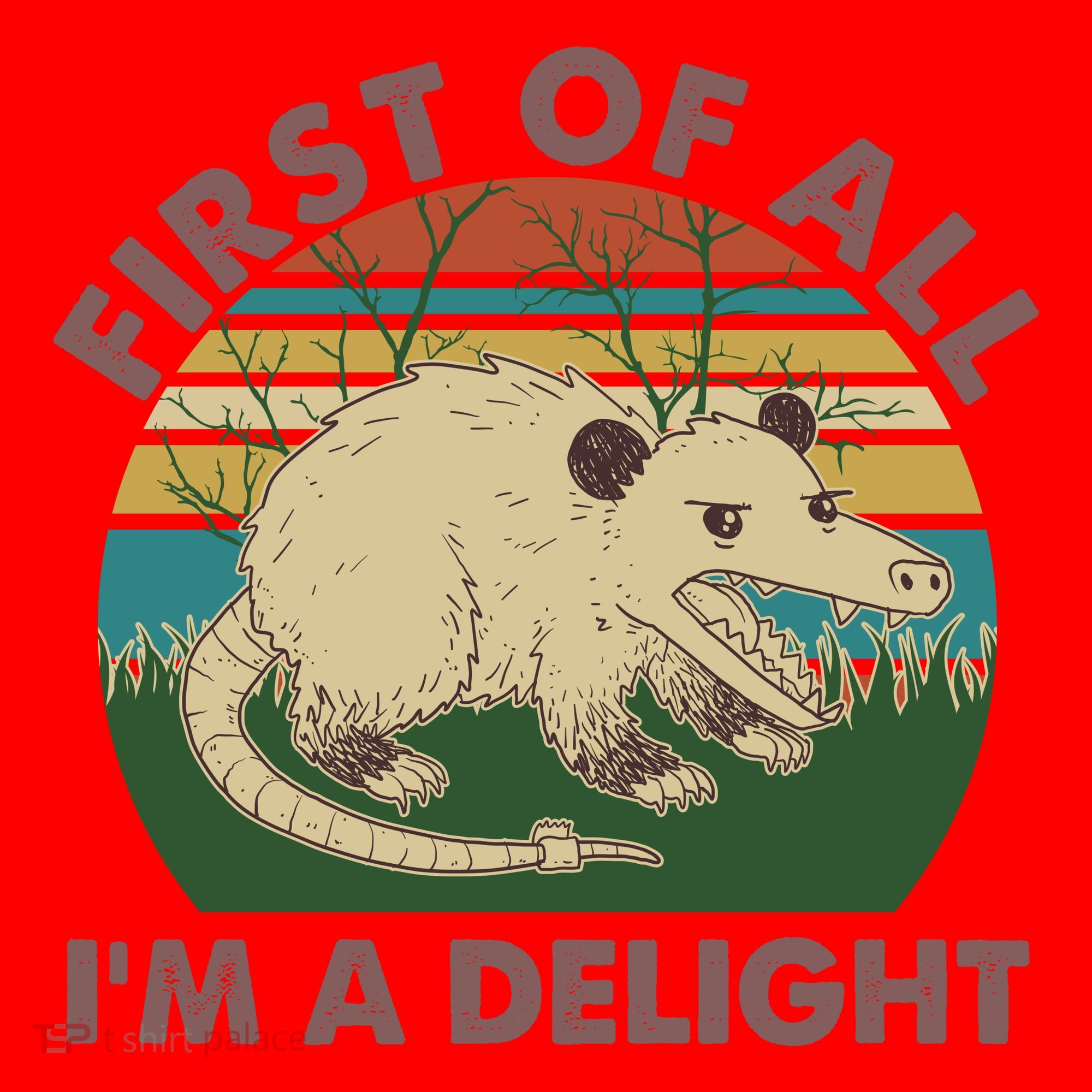 Funny Retro Opossum First Of All Im A Delight Santa Hat