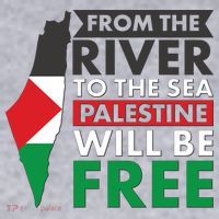 From The River To The Sea Palestine Will Be Free Women's Racerback Cropped Tank thumb 2