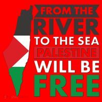 From The River To The Sea Palestine Will Be Free Santa Hat thumb 1