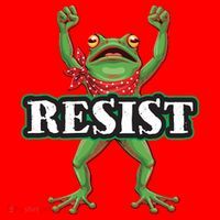 Funny Resist Portland Frog Prostest Santa Hat thumb 1
