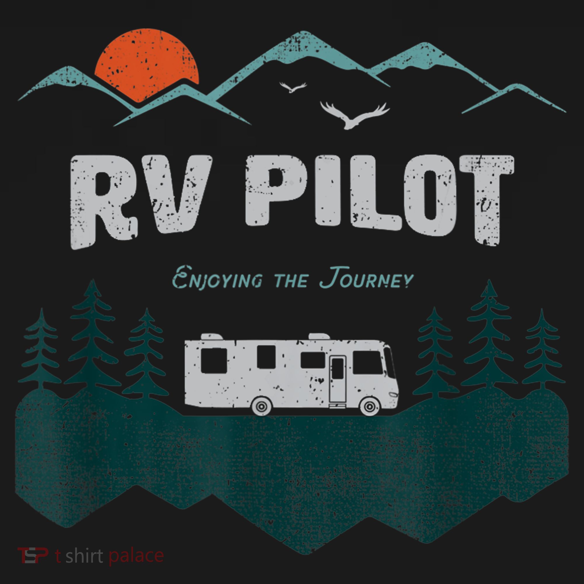 Funny Rv Pilot Camping Gift Funny Motorhome Travel Vacation Gift Women's Hoodie