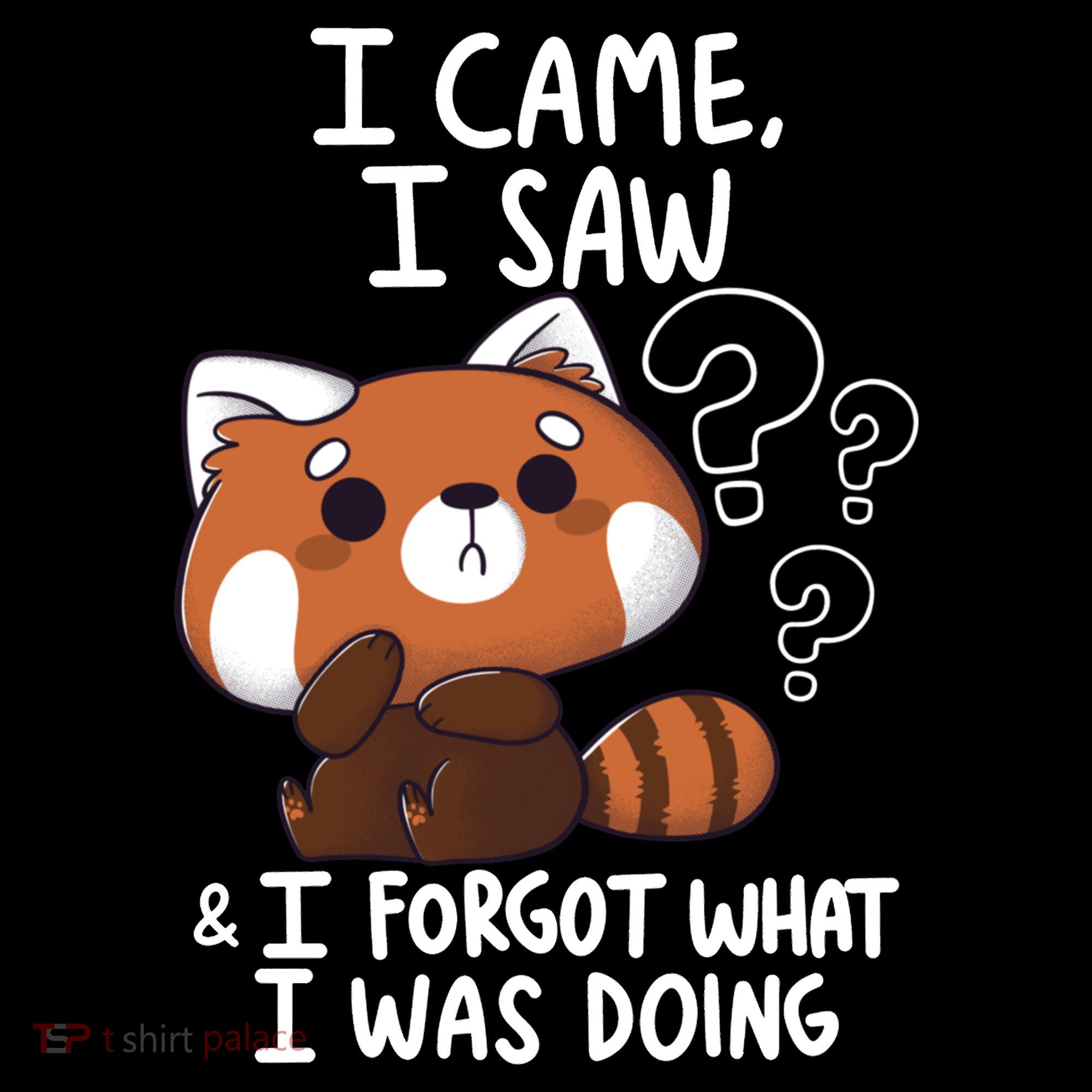 Forgetful Red Panda Women's Hoodie
