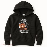 Forgetful Red Panda Kids Hoodie thumb 0