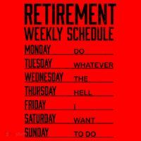 Funny Retired Retirement Schedule Gift Santa Hat thumb 1