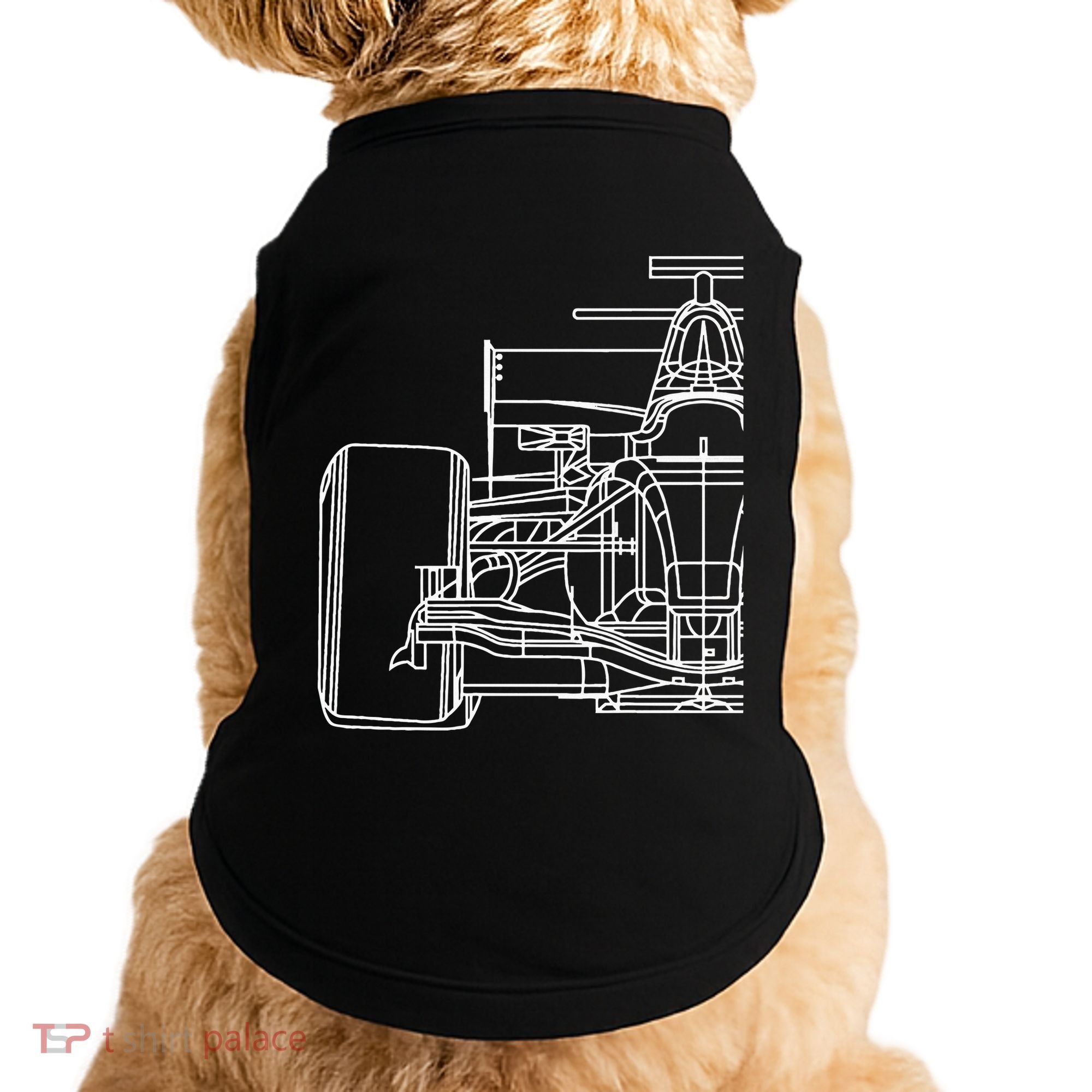 Formula Racecar Schematic Race Car Driver Formula Racing Doggie Tank