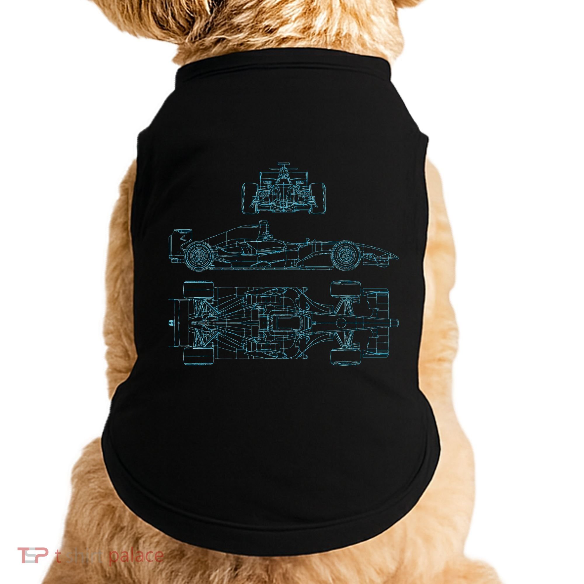 Formula Racecar Schematic Racing Formula Racecar Driver Doggie Tank