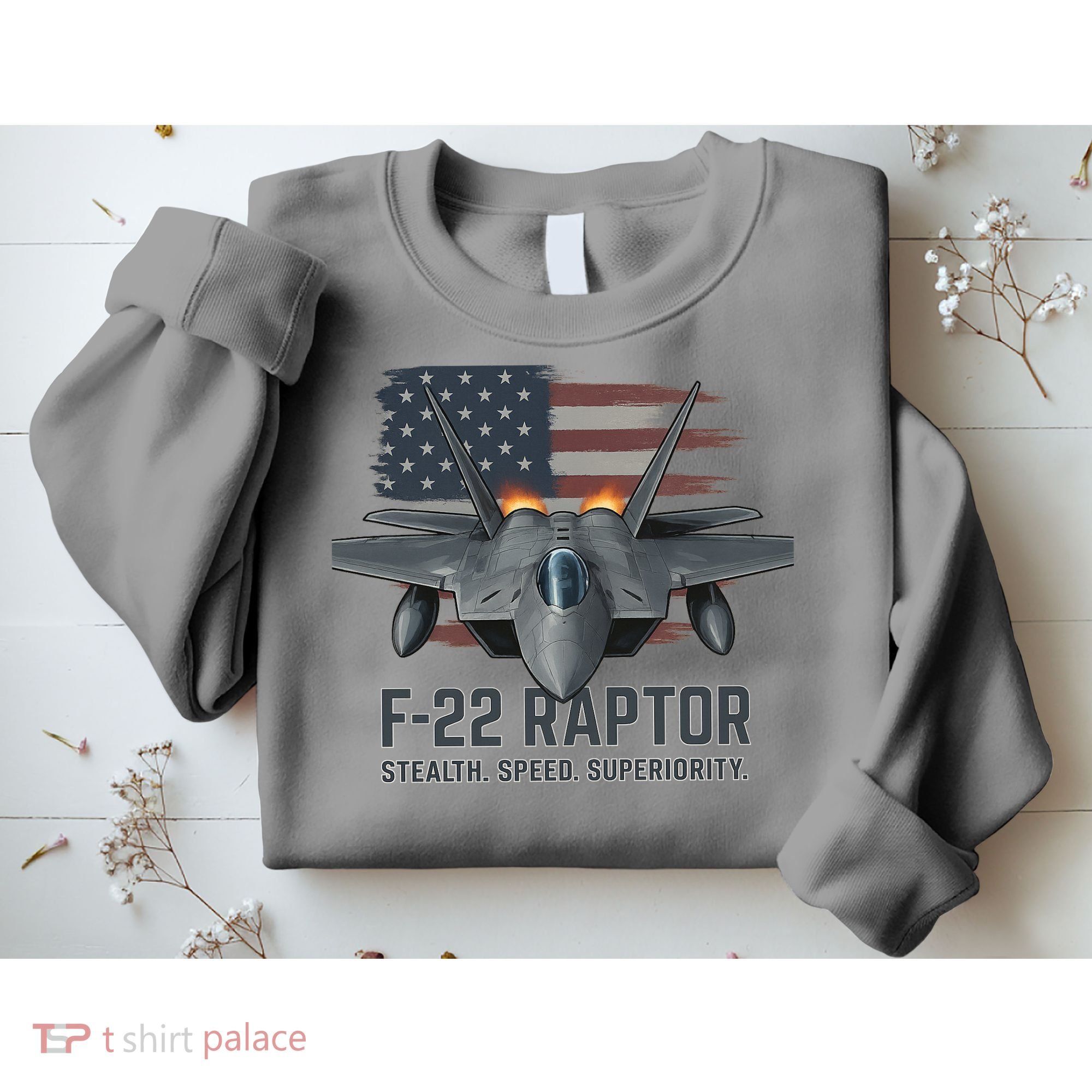 F-22 Raptor Stealth Speed Superiority Sweatshirt