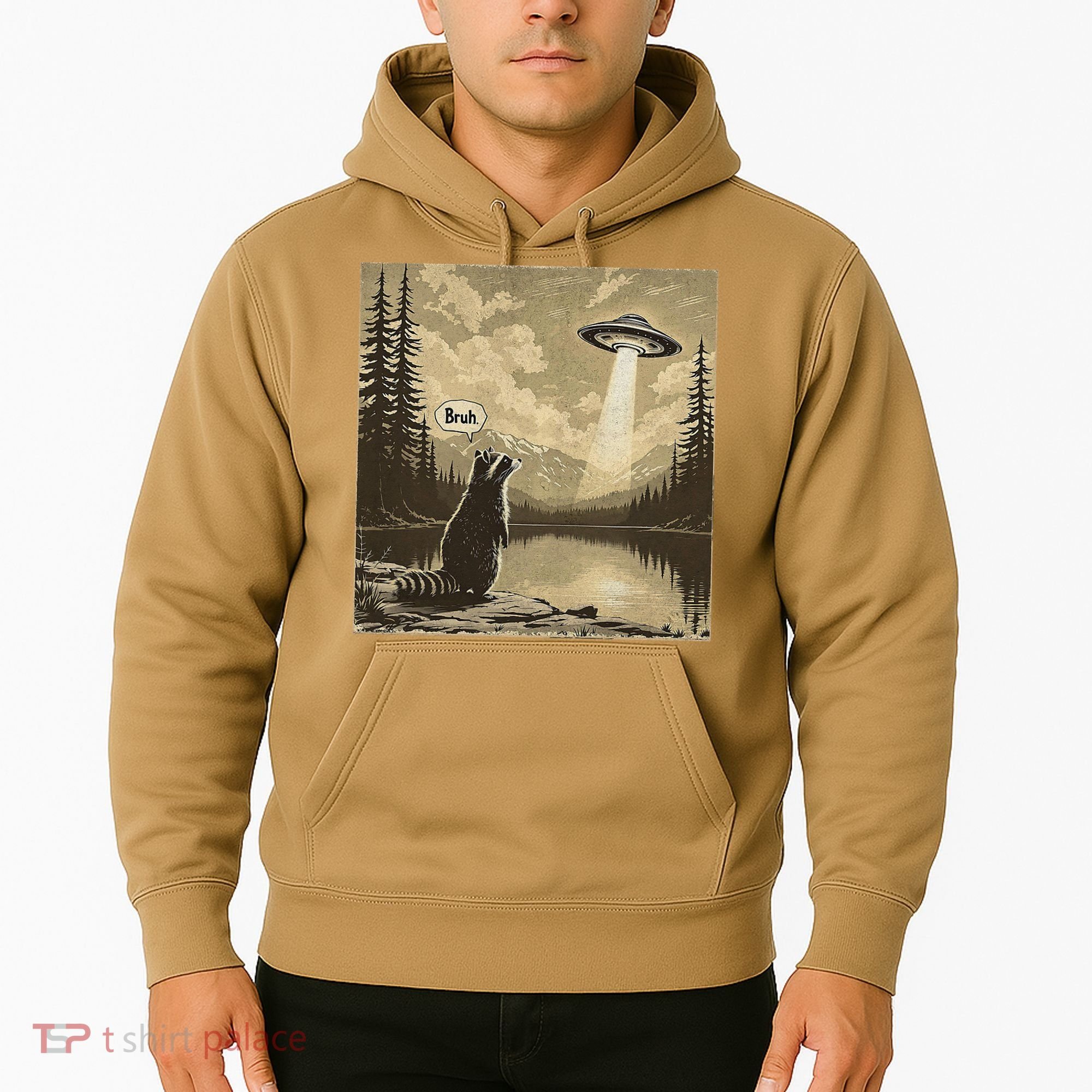 Funny Raccoon Sasquatch Alien UFO Monster Introvert Bruh Hoodie