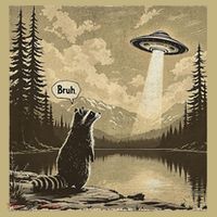 Funny Raccoon Sasquatch Alien UFO Monster Introvert Bruh Sweatshirt thumb 2